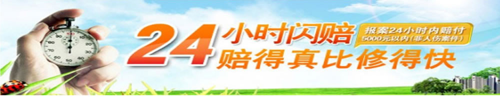 阳光车险24小时闪赔服务